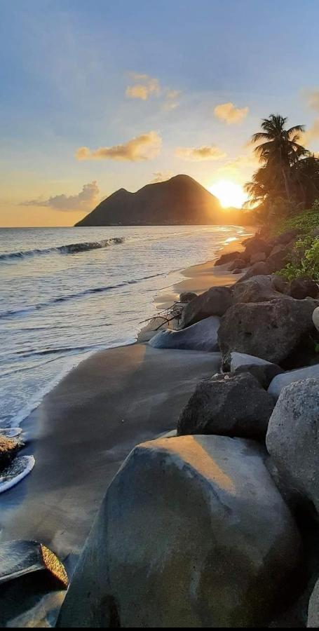 Ti'Bakoua A Sainte-Luce Plage Et Piscine ภายนอก รูปภาพ