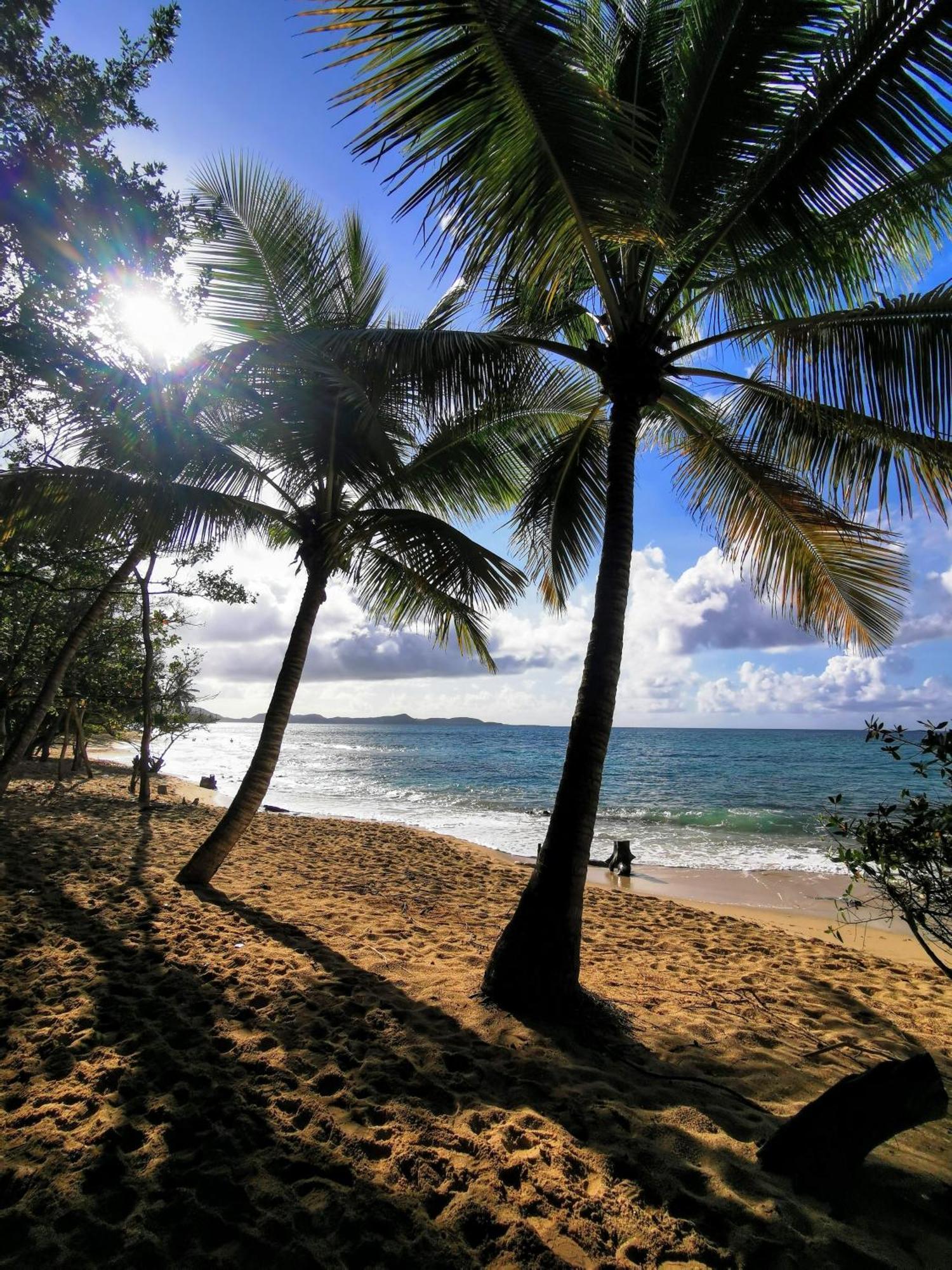 Ti'Bakoua A Sainte-Luce Plage Et Piscine ภายนอก รูปภาพ